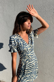 Caicos Blue Zebra Mini Dress