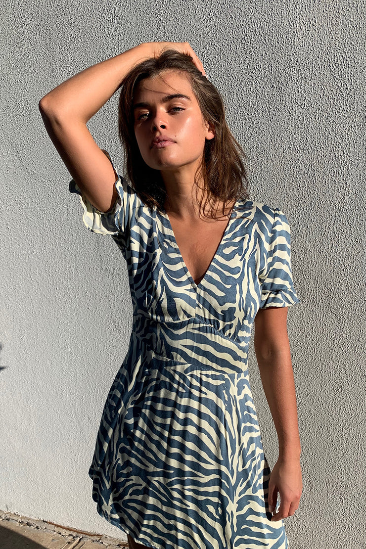 Caicos Blue Zebra Mini Dress