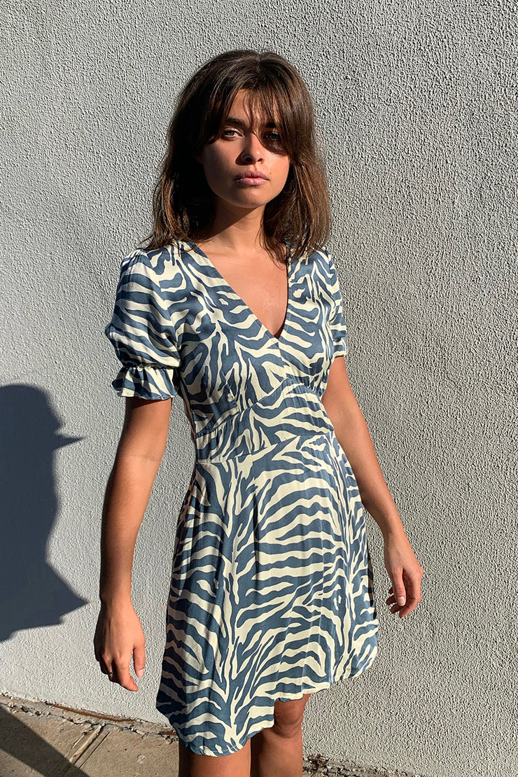 Caicos Blue Zebra Mini Dress